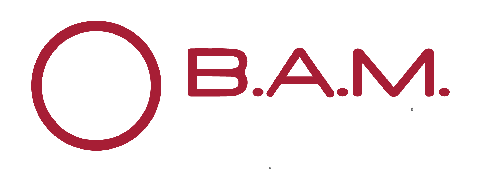 Bay Area mechanical logo